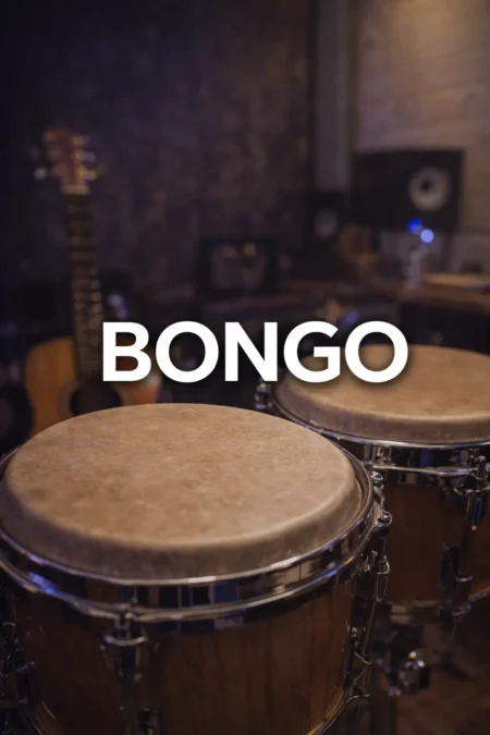 Bongo