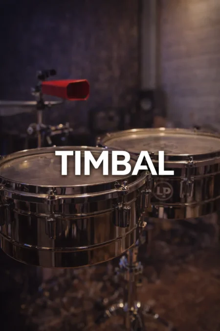 Timbal