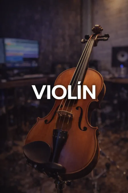 Violin